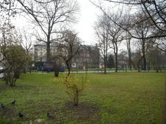 fragment Plant, gdzie wznosił się kościół św. Gertrudy