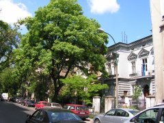 ulica św. Sebastiana